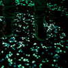 Image of Phospho Pebbles - 100 Pcs