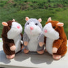 Image of Talking Hamster