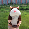 Image of Talking Hamster