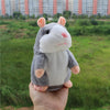 Image of Talking Hamster
