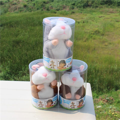 Talking Hamster