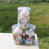Image of Talking Hamster
